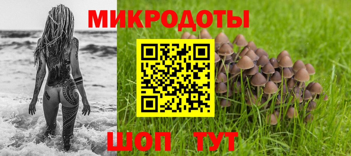 Галлюциногенные грибы прущие грибы  Вход с VPN  Заволжье 
